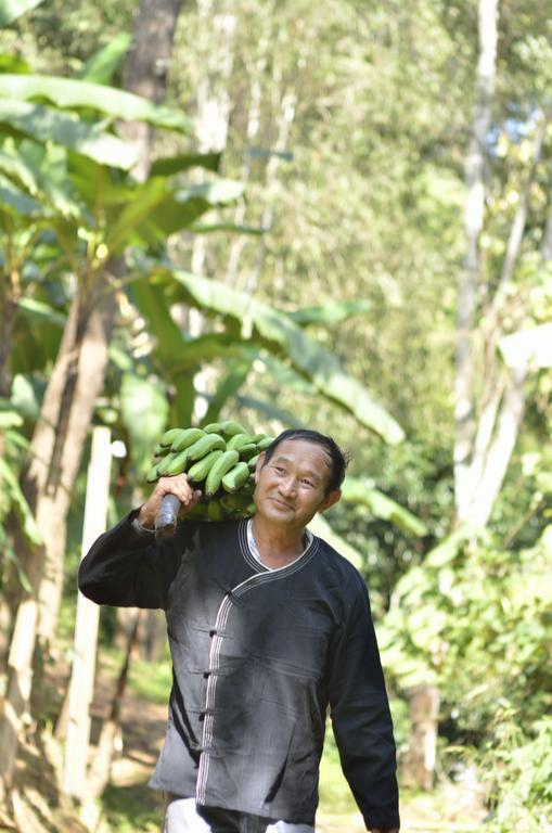 32 Coffee Hill & Station touristique