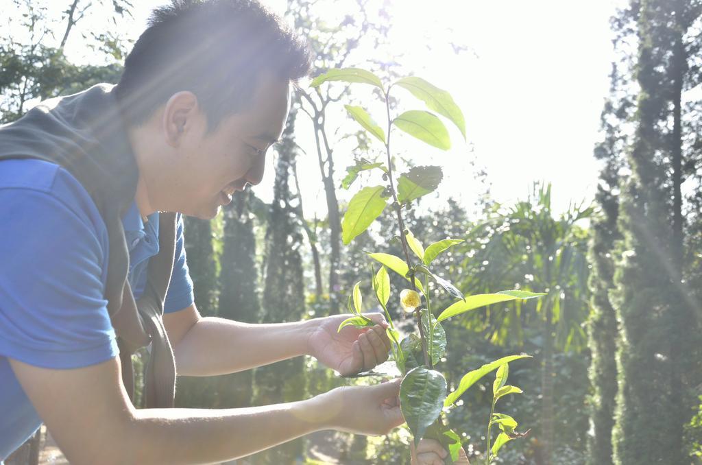 32 Coffee Hill & Station touristique Chiang Mai